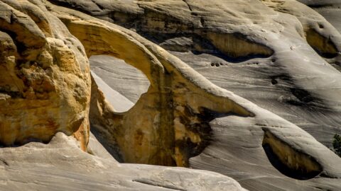 Cedar Arch In Grand Staircase Escalante National Monument, UT