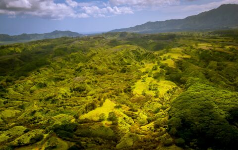 Central Rain-forest – Blue Hawaiian Helicopter Ride On Kauai Island, HI
