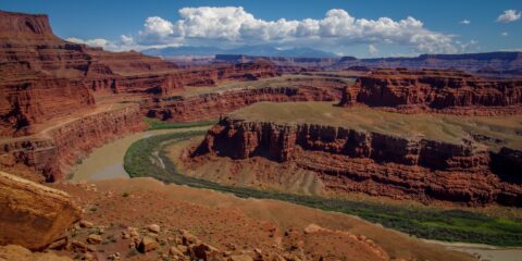 Colorado River Gooseneck In Canyonlands National Park, UT