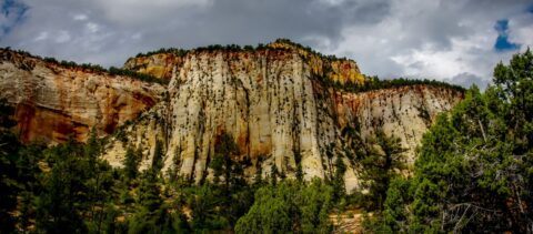 Detail From Highway 9 Through Zion National Park, UT