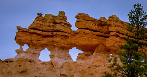 Detail From Mossy Cave Trail In Bryce Canyon National Park, UT