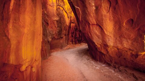 At The Entrance To Dry Fork Narrows In Coyote Gulch, Grand Staircase Escalante National Monument, UT