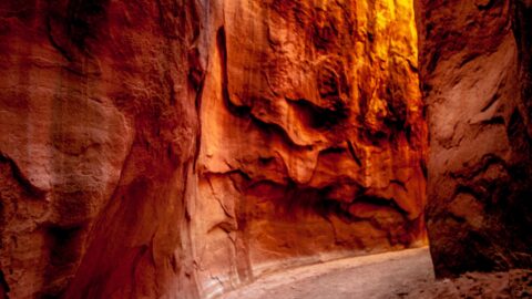 Inside The Dry Fork Narrows In Coyote Gulch, Grand Staircase Escalante National Monument, UT