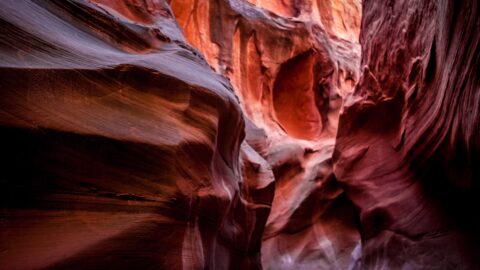 After Awahile Dry Fork Narrows Become Really Narrow,  Coyote Gulch, Grand Staircase Escalante National Monument, UT