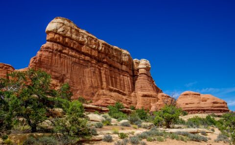 Elephant Canyon In Needles, Canyonlands National Park, UT