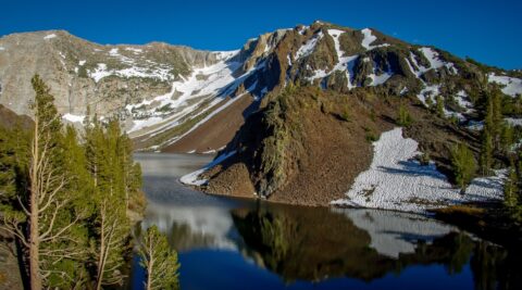 Ellery Lake Near East Entrance To Yosemite National Park, CA