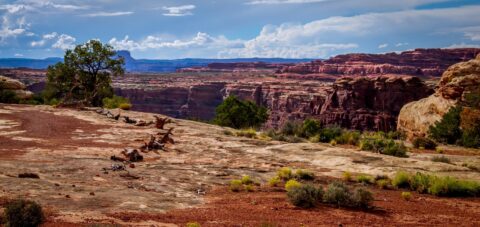 End Of Trail To Colorado River Overlook In Needles, Canyonlands National Park, UT