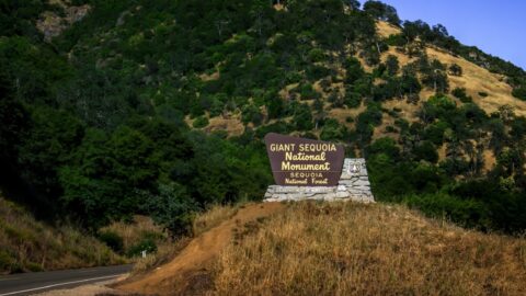 Entering Giant Sequoia National Monument, CA