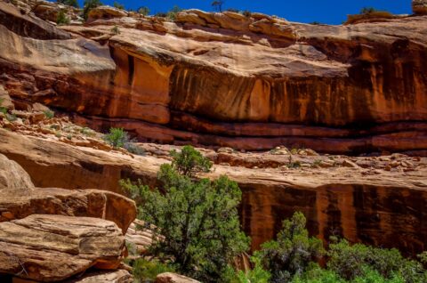 Fallen Roof Ruins, High Above Wash In Road Canyon, Cedar Mesa, UT