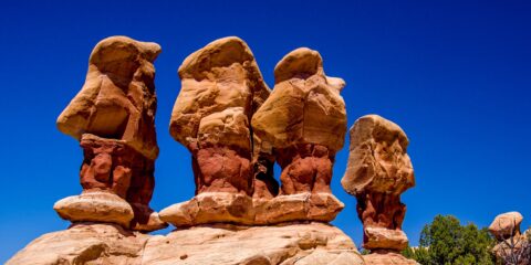 Four And More In Devils Garden, Grand Staircase Escalante National Monument, UT