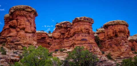 Giant Needles Along Elephant Canyon In Needles, Canyonlands National Park, UT