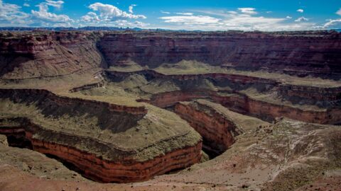 Goosenecks Around Colorado River Overlook In Needles, Canyonlands National Park, UT