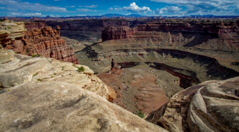 Goosenecks Near Colorado River Overlook Point In Needles, Canyonlands National Park, UT