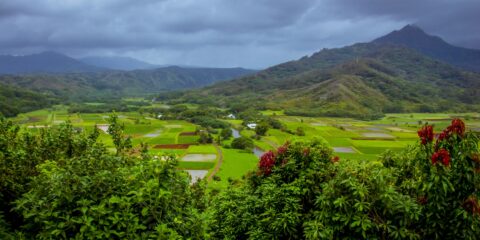 Hanalei Valley Lookout, North Shore of Kauai Island, HI