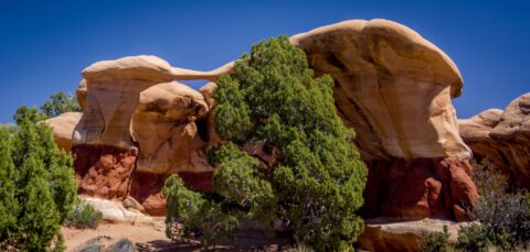 In Front Of Metate Arch Iin Devils Garden, Grand Staircase Escalante National Monument, UT