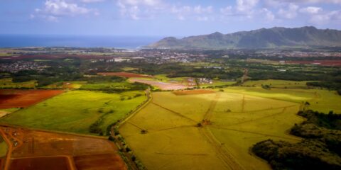 Industries And Farms Near Lihue – Blue Hawaiian Helicopter Ride On Kauai Island, HI