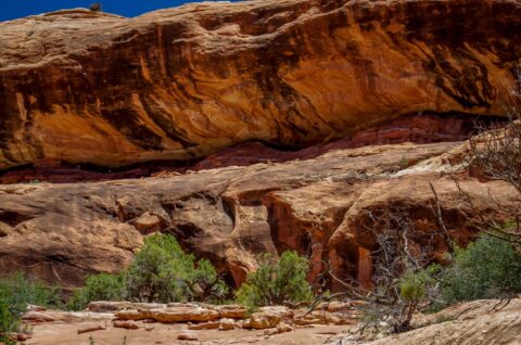 It Was Not Easy To Find Fallen Roof Ruin In Road Canyon, Cedar Mesa, UT