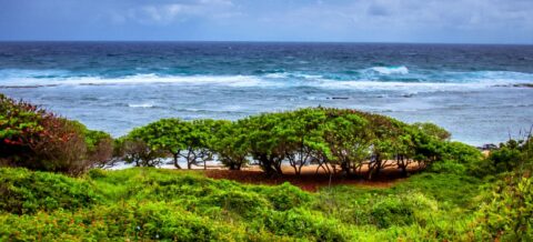 Larsen’s Beach, North-East Shore of Kauai Island, HI