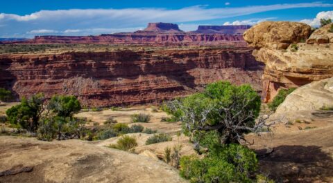 Look At Island In The Sky From Colorado Overlook River In Needles, Canyonlands National Park, UT