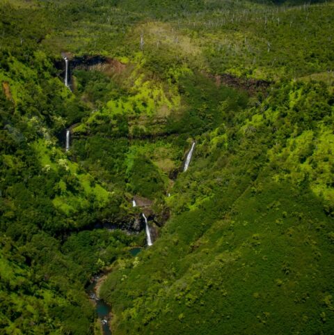 Look At Waterfalls During Blue Hawaiian Helicopter Ride Over Kauai Island, HI