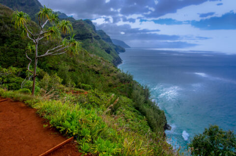 Look From Kalalu Trail Along West Shore Of Kauai Island, HI