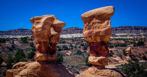 Observers Of Devils Garden, Grand Staircase Escalante National Monument, UT