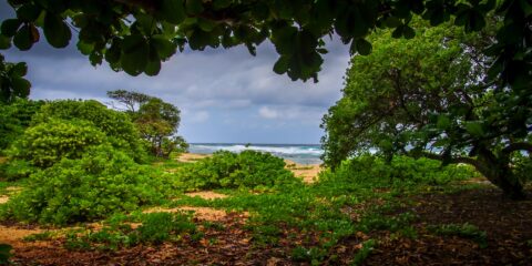 Rainy Day at Larsen’s Beach, North-East Shore of Kauai Island, HI