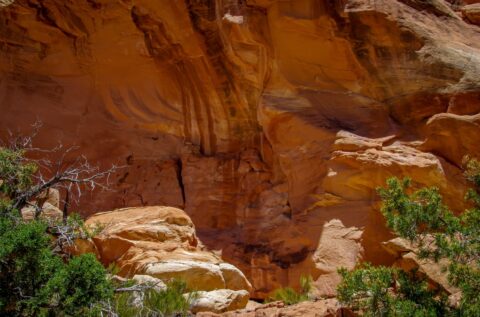 Rock Next To Fallen Roof Ruins In Road Canyon, Cedar Mesa, UT