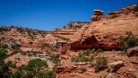 Scenery Around Fallen Roof Ruins In Road Canyon, Cedar Mesa, UT