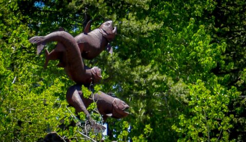 Three Mackinaw Trout Sculpture, Tahoe City, CA