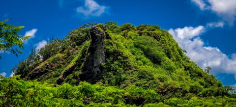 Top of Nounou (Sleeping Giant) near Kapa’a, East side of Kauai Island, HI_