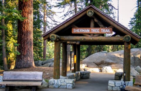Trailhead To General Sherman Tree In Giant Sequoia National Monument, CA
