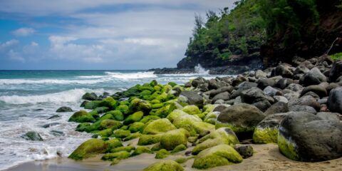 Volcanic Rocks On Hanakapi’ai Beach, West Coast Of Kauai Island, HI