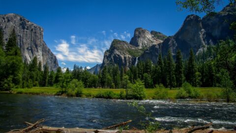 Yosemite Valley View In Yosemite National Park, CA
