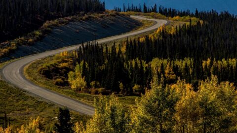 Alaska Highway Near Haines Junction, YT