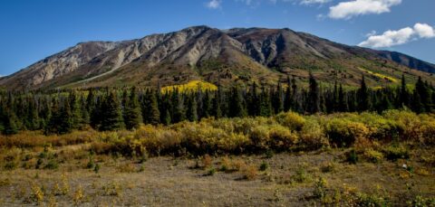 Autumn Colors Along Haines Highway, YT