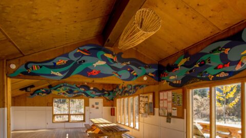 Beautiful Shelter By Kathleen Lake, Kluane National Park, YT