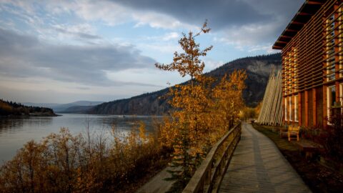Boardwalk Between Yukon River And Danoja Zho Cultural Center In Dawson City, YT