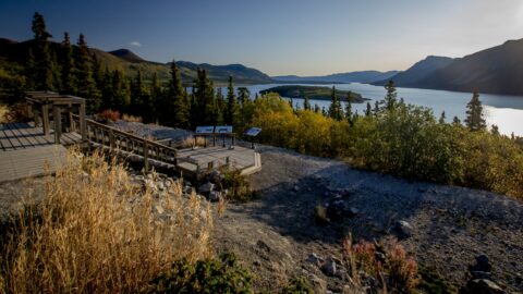 Bove Island On Nares Lake, Carcross, YT