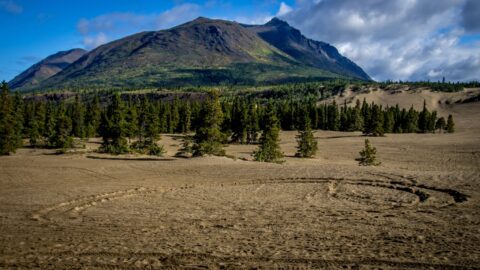Carcross Desert, YT