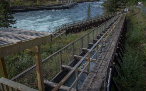 Fish Ladder That Helps Chinook Salmon To Migrate By Dam On Yukon River In Whitehorse, YT_