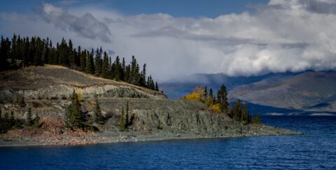 Late Summer Scenery On Hains Lake, YT