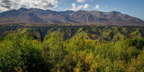 Landscape Along Haines Highway, YT