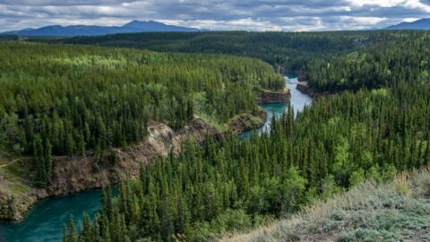 Look At Miles Canyon On Yukon River Near Whitehorse, YT