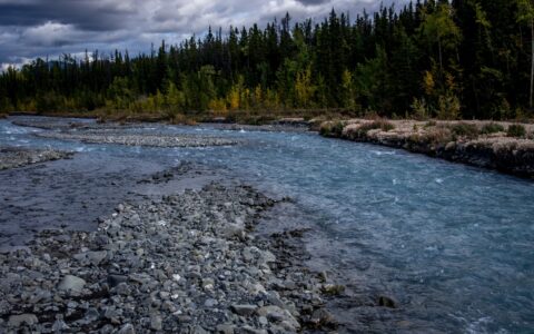 Quill Creek In Kluane National Park And Reserve Near Hains Junction, YT