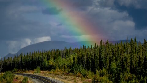 Rainbow Over Alaska Highway Between Haines Junction And Whitehorse, YT