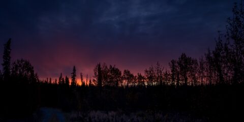 Sunrise In The Wilderness By Alaska Highway Near Haines Junction, YT