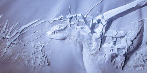 Natural Icefield Cubism In Kluane National Park, YT