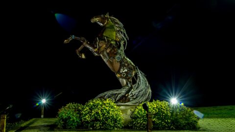 The Whitehorse Horse Statue At Night, YT