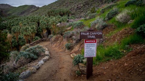 At The Beginning Of Trail in Indian Canyon, Palm Springs, CA